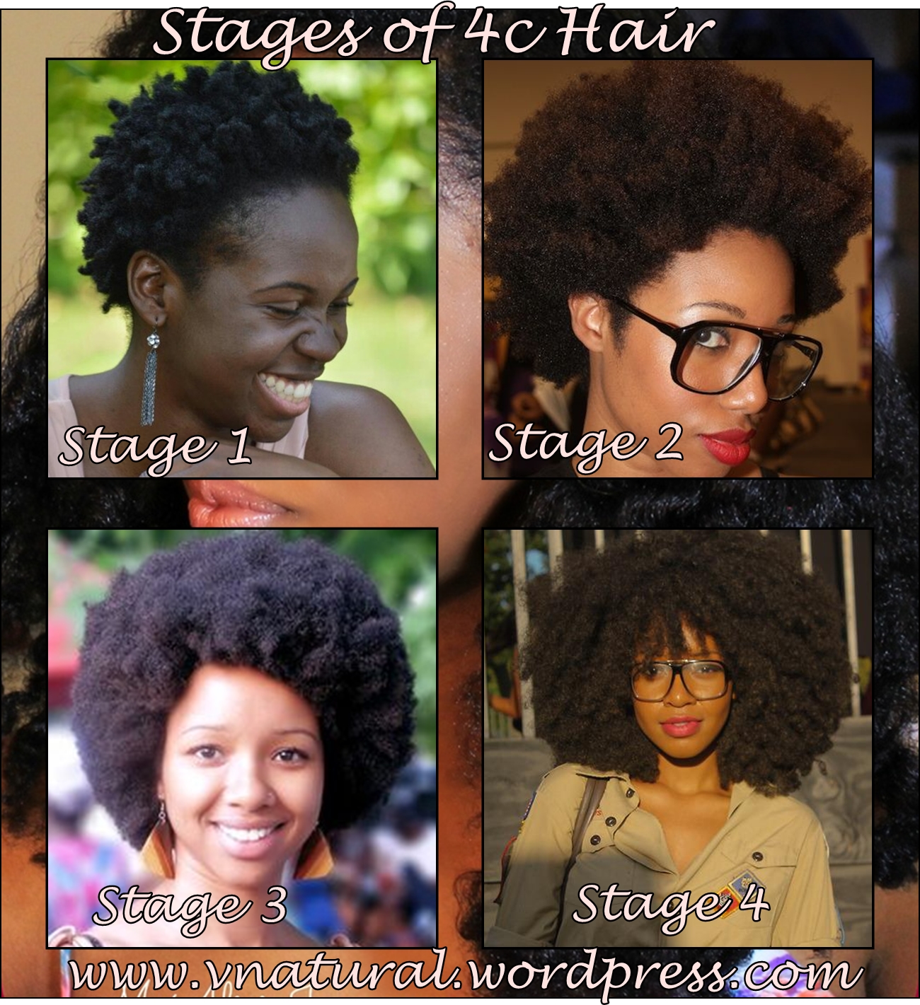 Natural Hair Inspiration The Stages Of 4C Hair Natural Hair